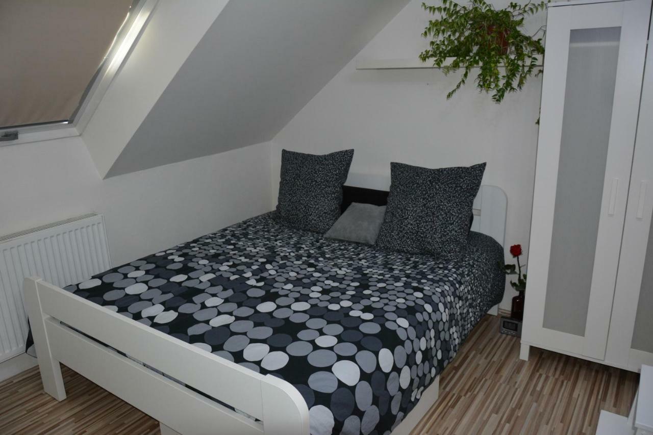 Ubytovani Pod Cimburkem Mestecko Trnavka 外观 照片