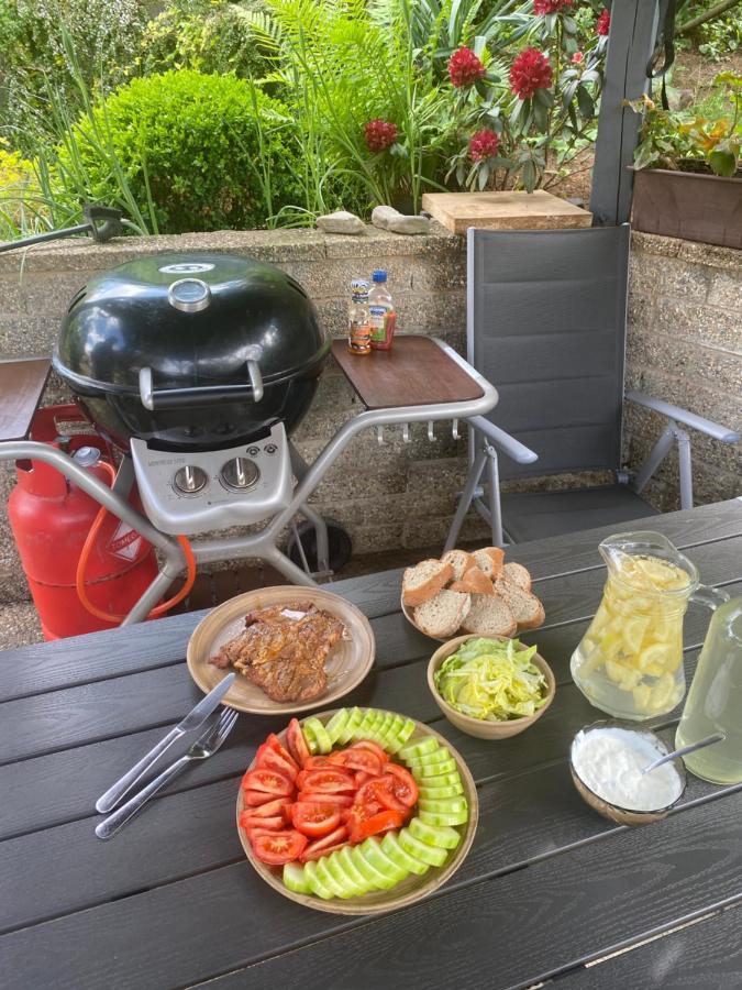 Ubytovani Pod Cimburkem Mestecko Trnavka 外观 照片